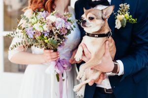 愛犬同伴の結婚式