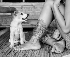 愛犬との絆を体に刻むドッグタトゥー
